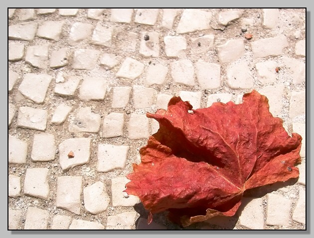 Rosso d''autunno